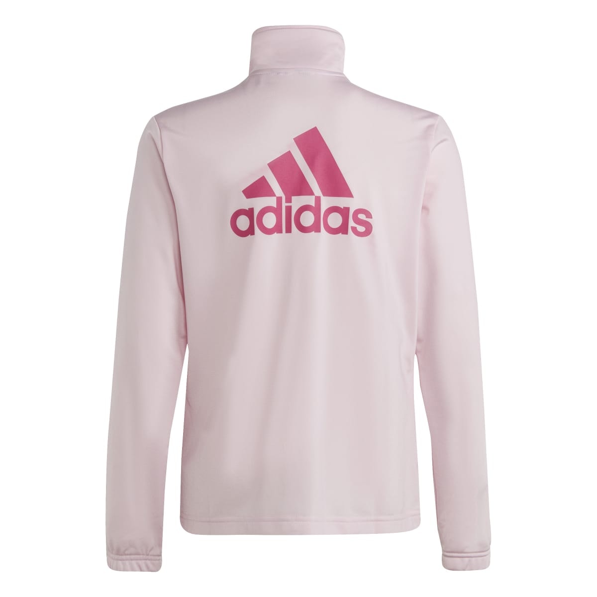 image_1301b37c-ca5d-43e5-a54c-316d3e1f0445