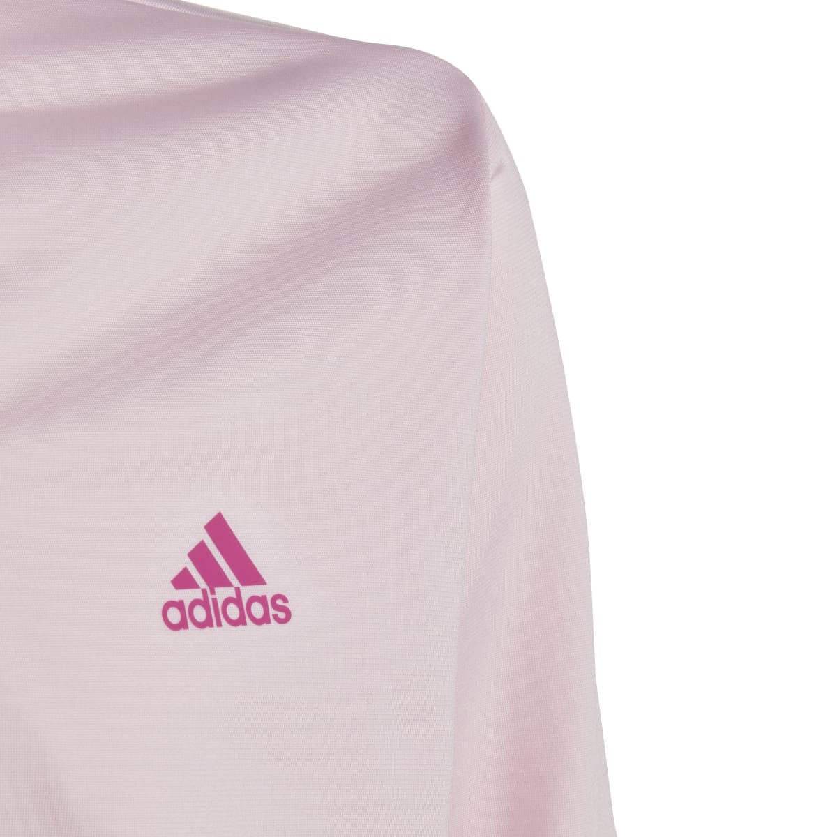 image_b5ae8bb9-e9d5-416b-904b-d26892d10830