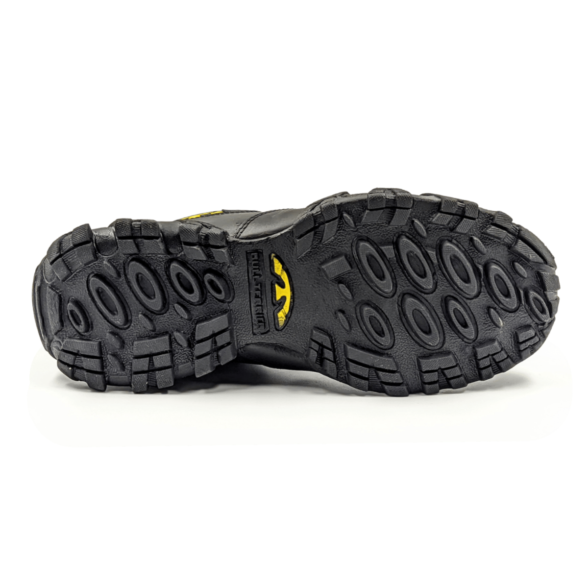 image_e65ce353-481a-42ad-b8f9-c1d842e49e06