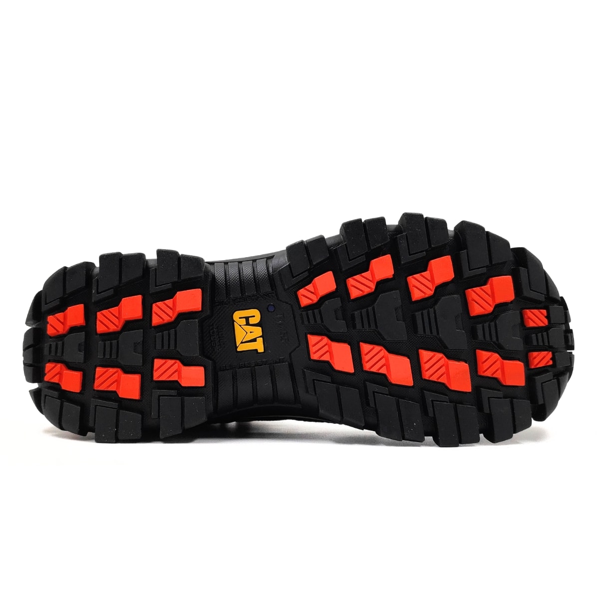 image_eab97a80-b681-4e3f-a98d-97e27aba0b70