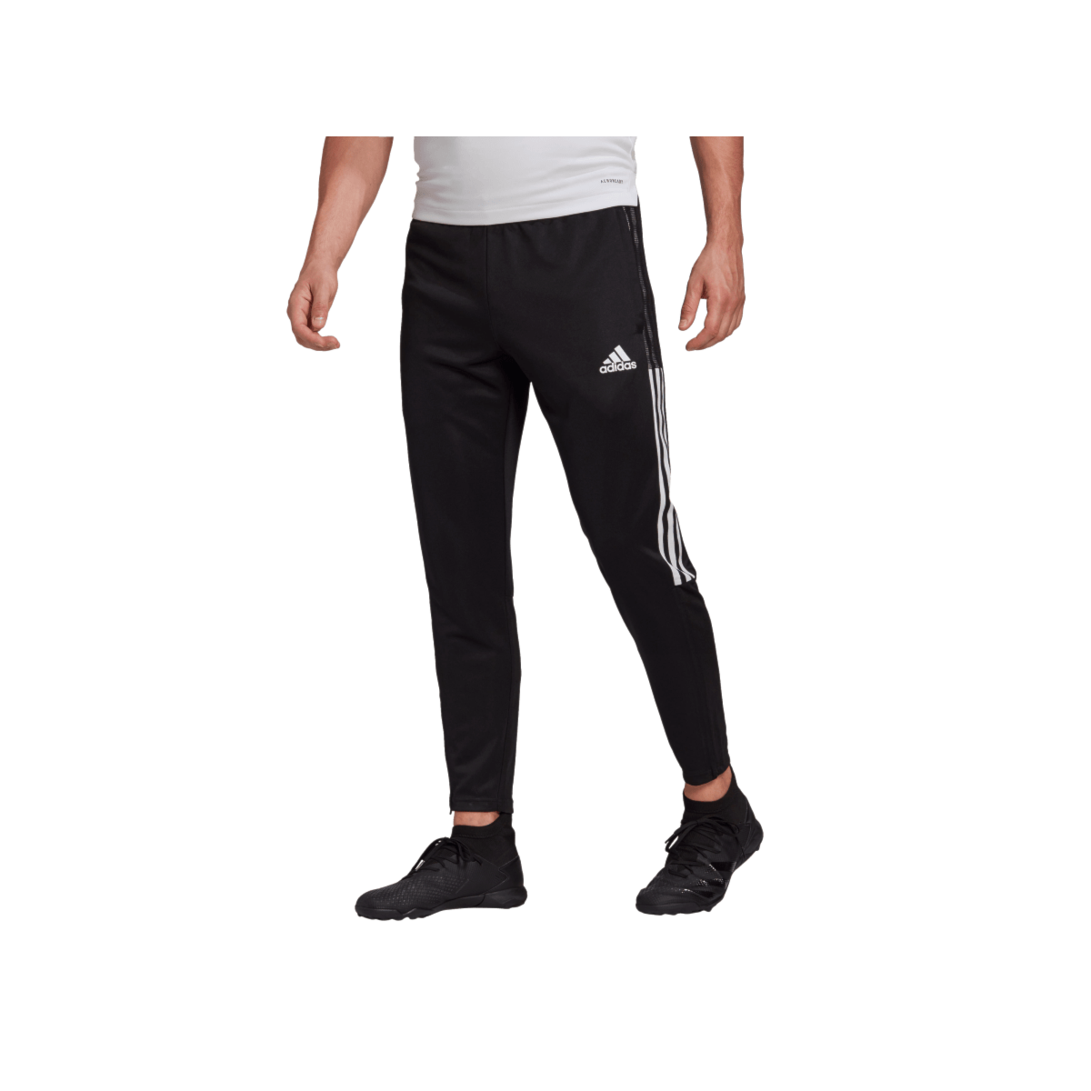 image_66003ed2-f12e-405b-b8f7-600f08884802