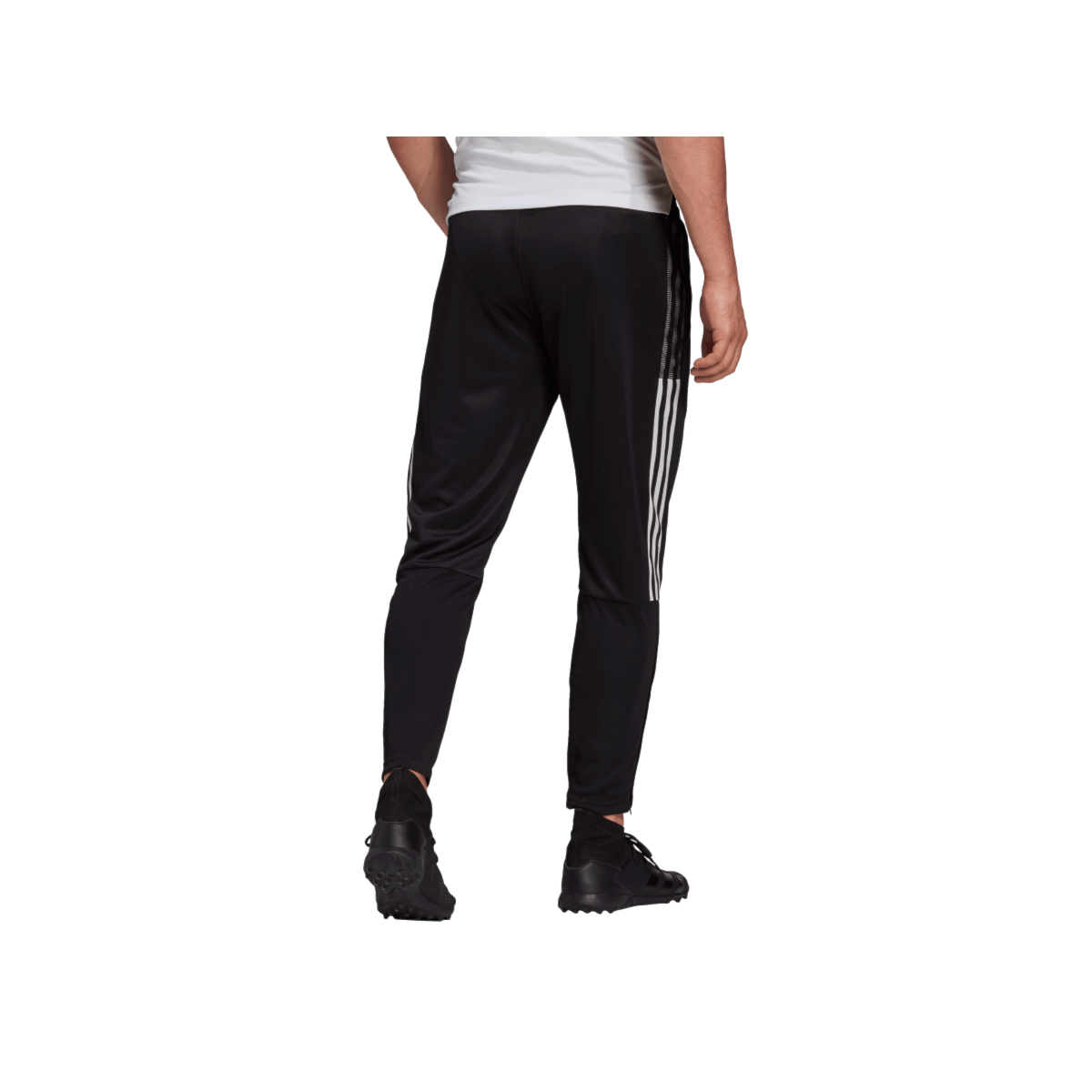 image_0ebd30f4-8bd5-460f-bf46-89beb7496dae