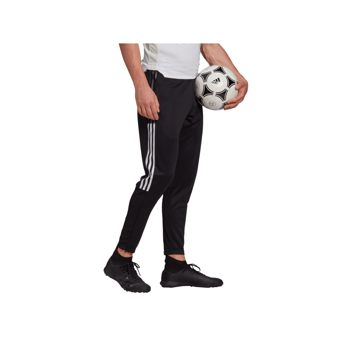 image_e60fa65c-1889-40ee-a830-ce64ce9a93e7