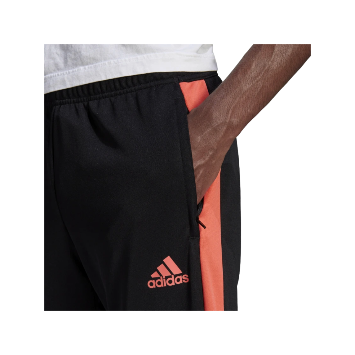 image_58af311d-176d-45ee-bfc3-173eff9edf11