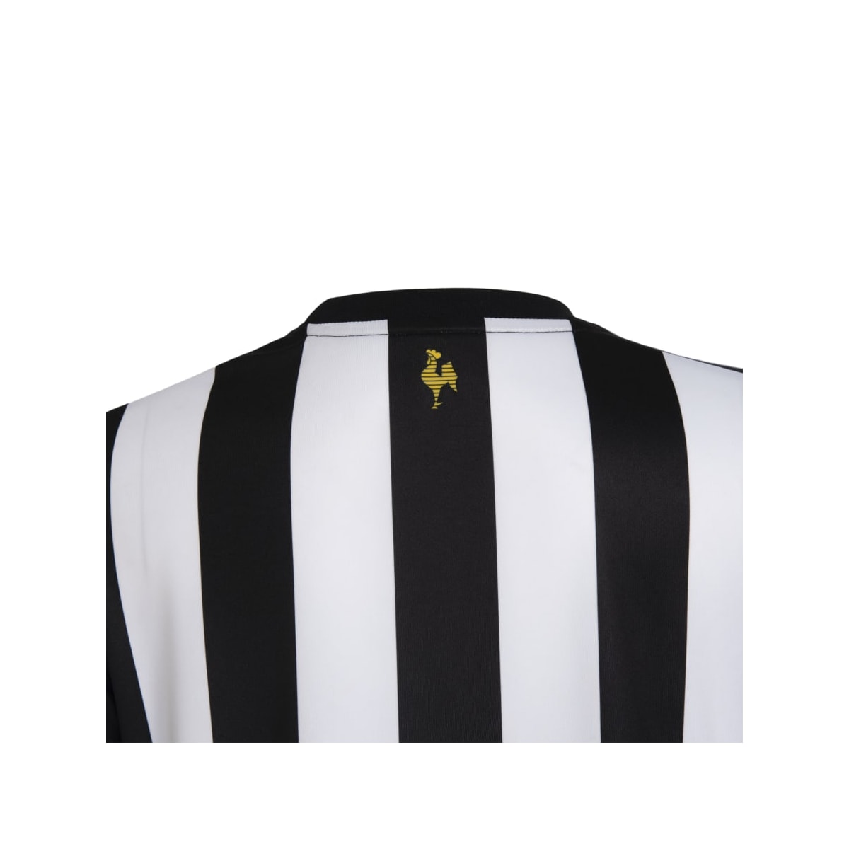 image_996b6406-57a2-46dd-83d8-ab50892ab4df