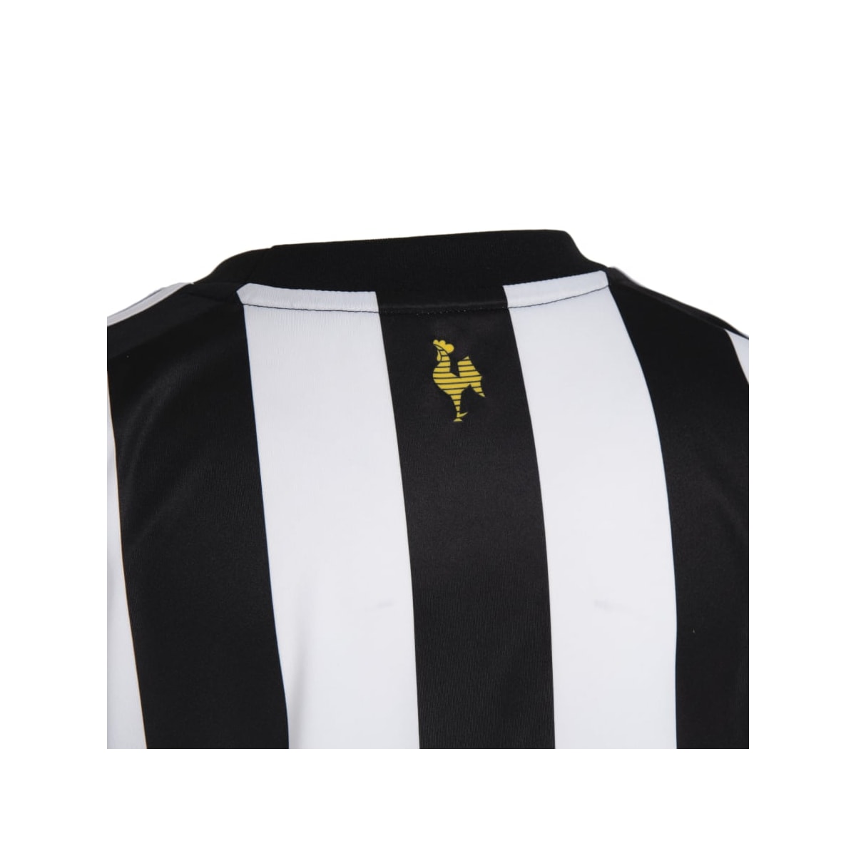 image_cd98770d-109b-4f11-a484-e9fe0810041a