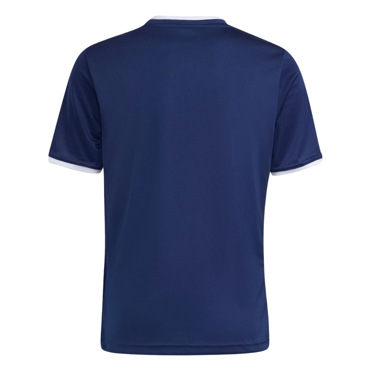 image_dfff4549-9fe6-4b1d-b038-1b4c48fccdfd