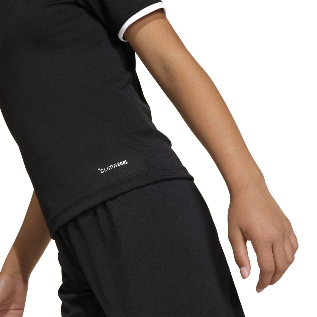 image_ca031c34-3495-4b4e-bd26-a065f8ca0b0e