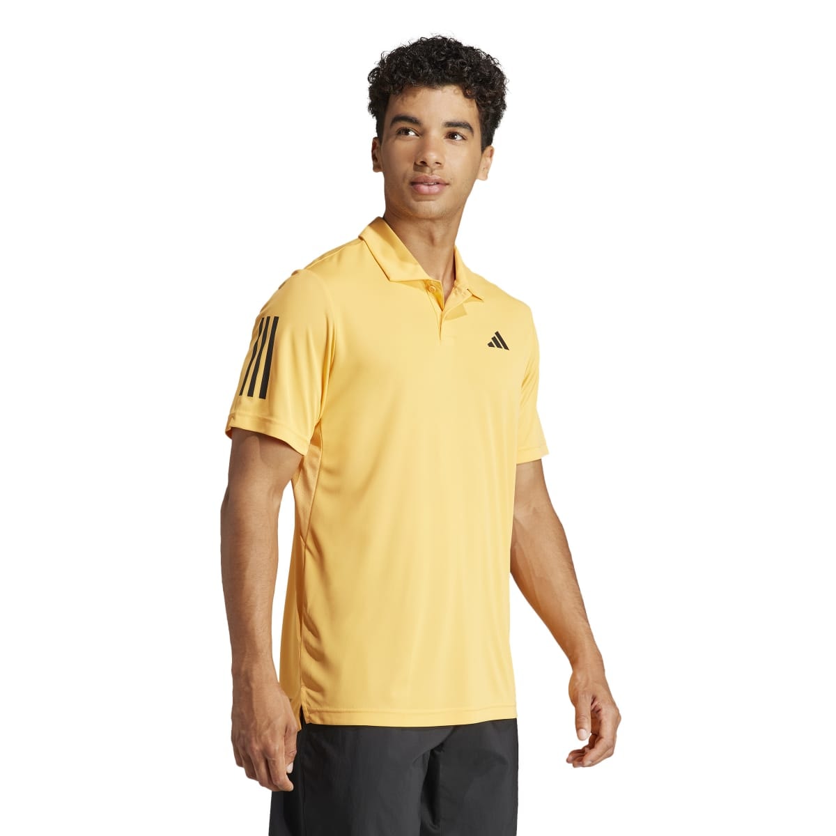 image_f991ac61-f490-40a1-86ee-2d63ee3b1d8e