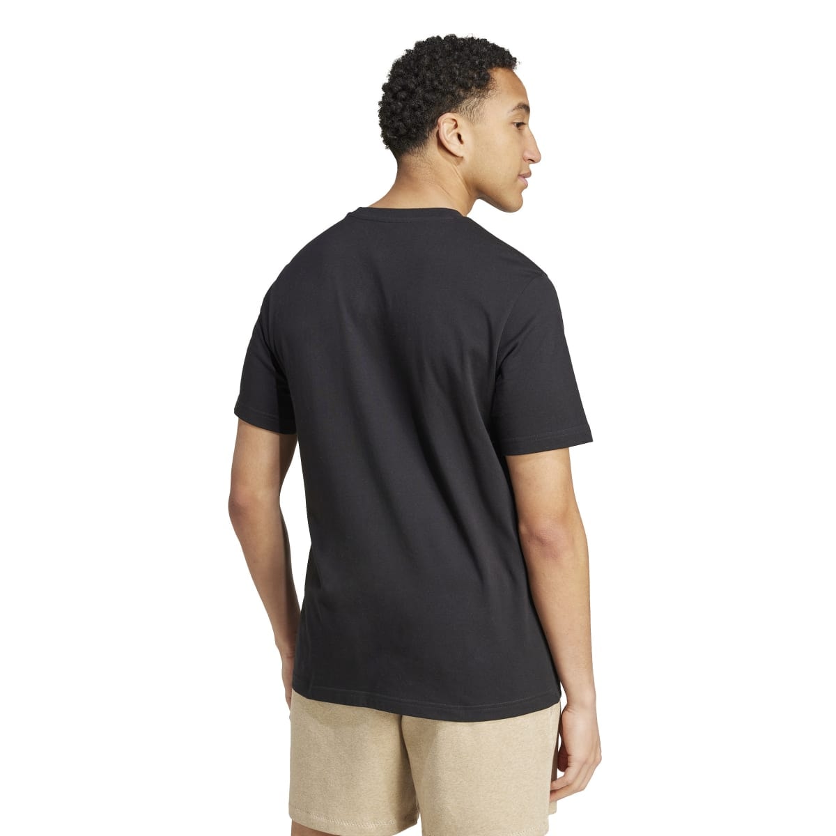 image_3ac71262-86d2-41fa-a17d-8ee20ae7d7e8