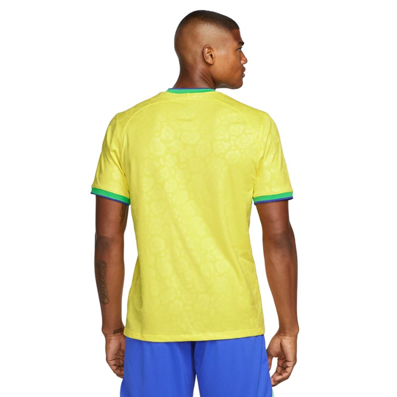 Camisa do Brasil Nike Torcedor Pro II 22/23 - Masculina em