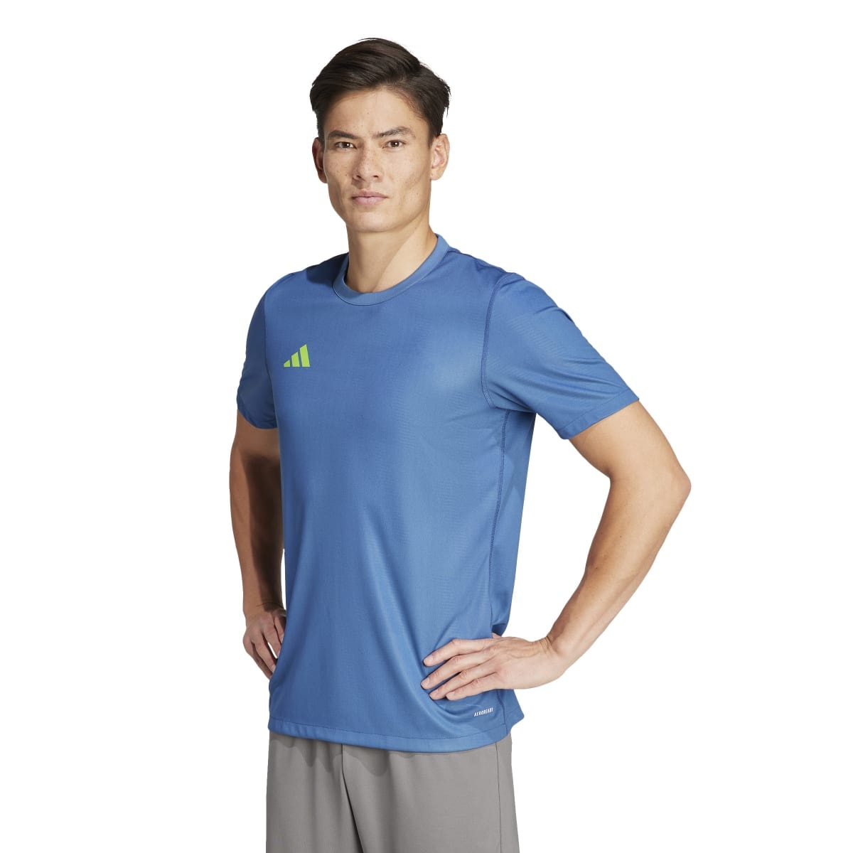 Camiseta Adidas Reversivel 24 Masculina - Azul/Verde