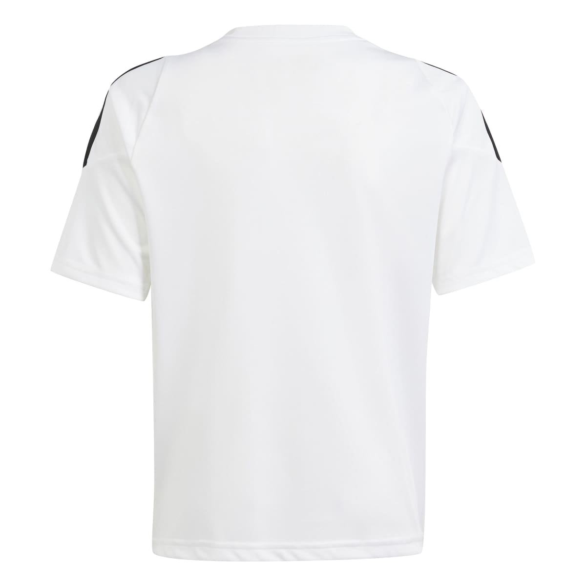 image_02747808-a7dd-4b37-8615-519ef9a6b805