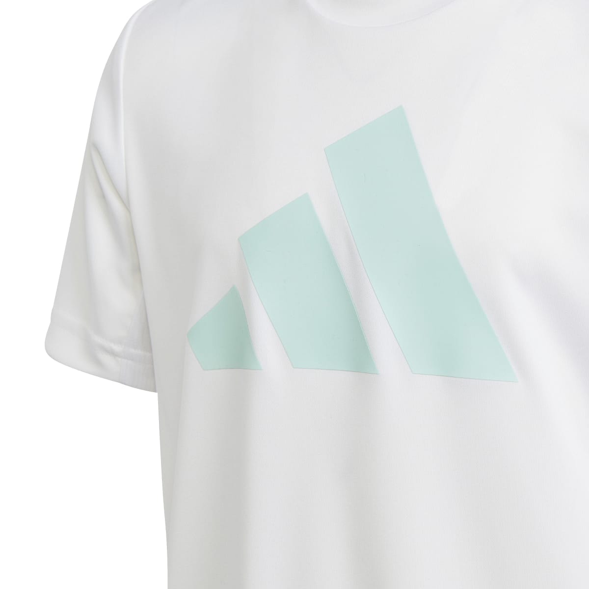 image_8b6984ed-4e45-4b40-9867-75a418f6b5f9