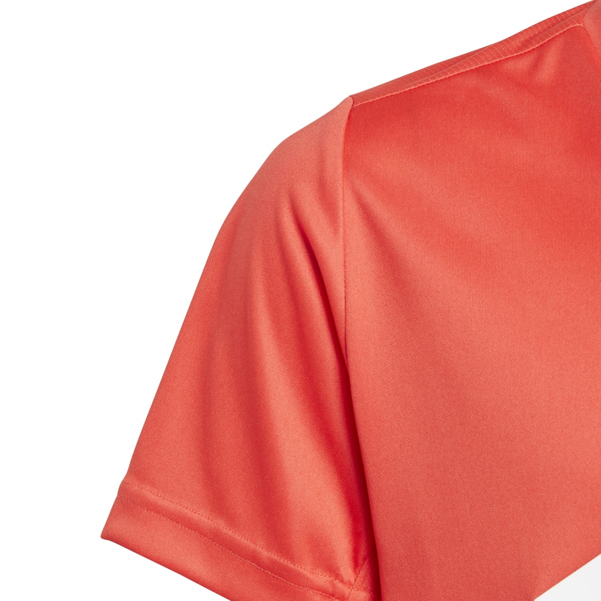 image_066e9f78-dc42-4b3c-a581-91d5cd9434f5