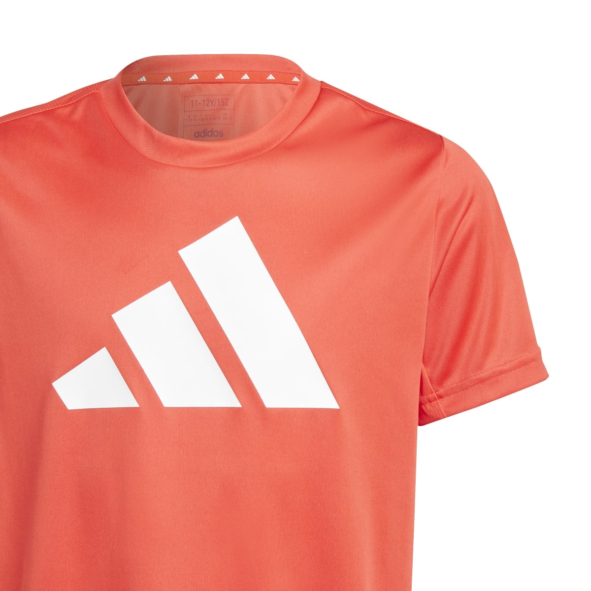 image_379645d4-4ecb-4b4f-ab5b-e651a72204ce