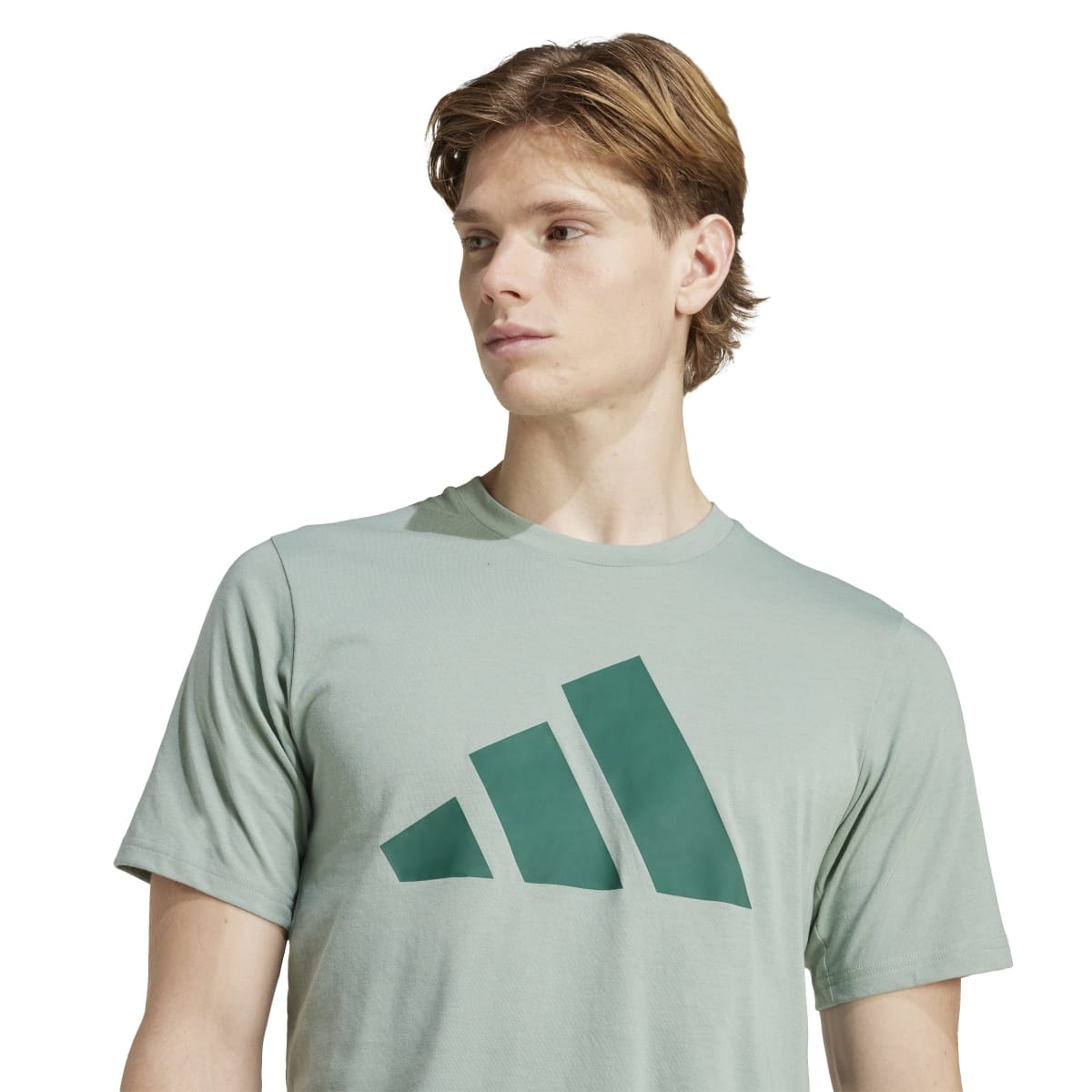 image_e86f4b2a-355d-49d9-ae76-f688ac6bdd02