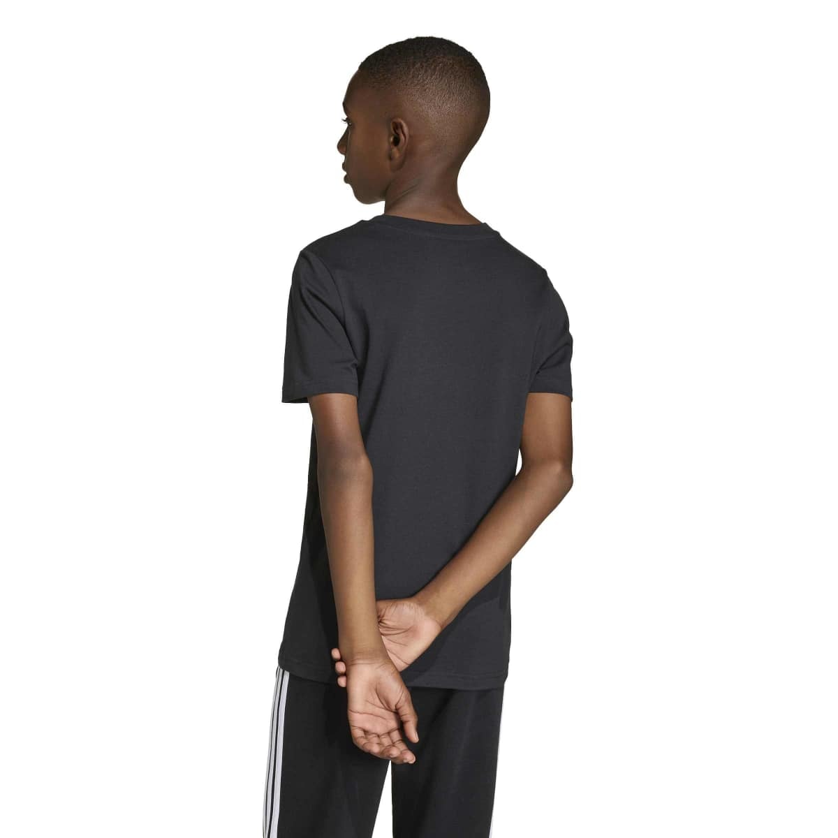 image_e25e3426-5023-435c-a96f-bfc566b25457