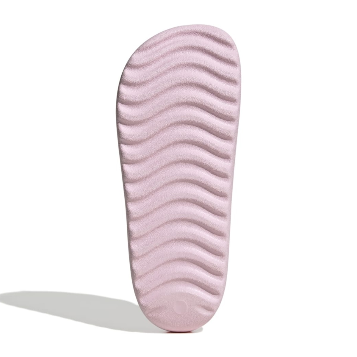 image_ceda0588-fcaa-4f82-8f68-e0d6814cdaee