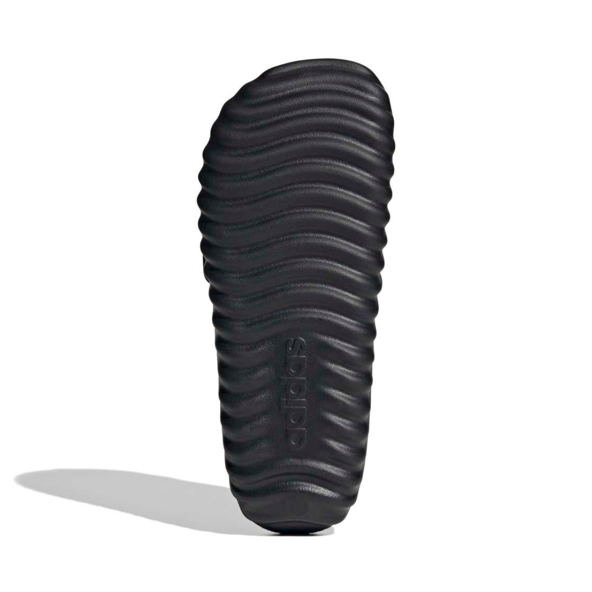 image_c8f5fd86-89da-47c6-96be-cc16a3465c1b