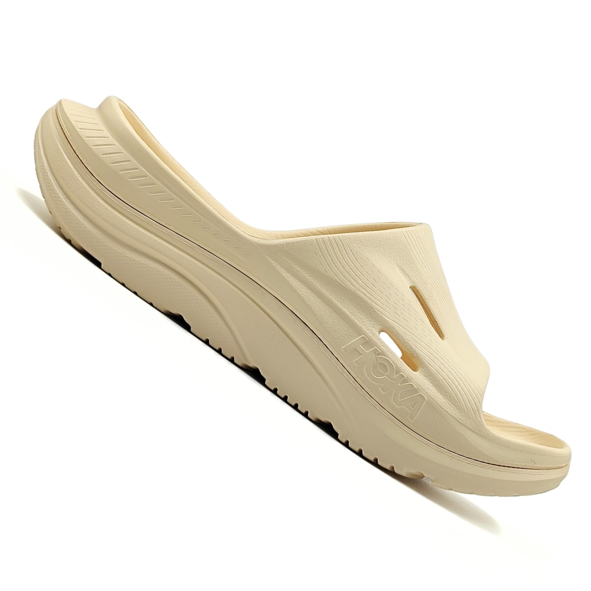 image_60356a8c-d74d-42c9-984e-f0dfe456aaf1