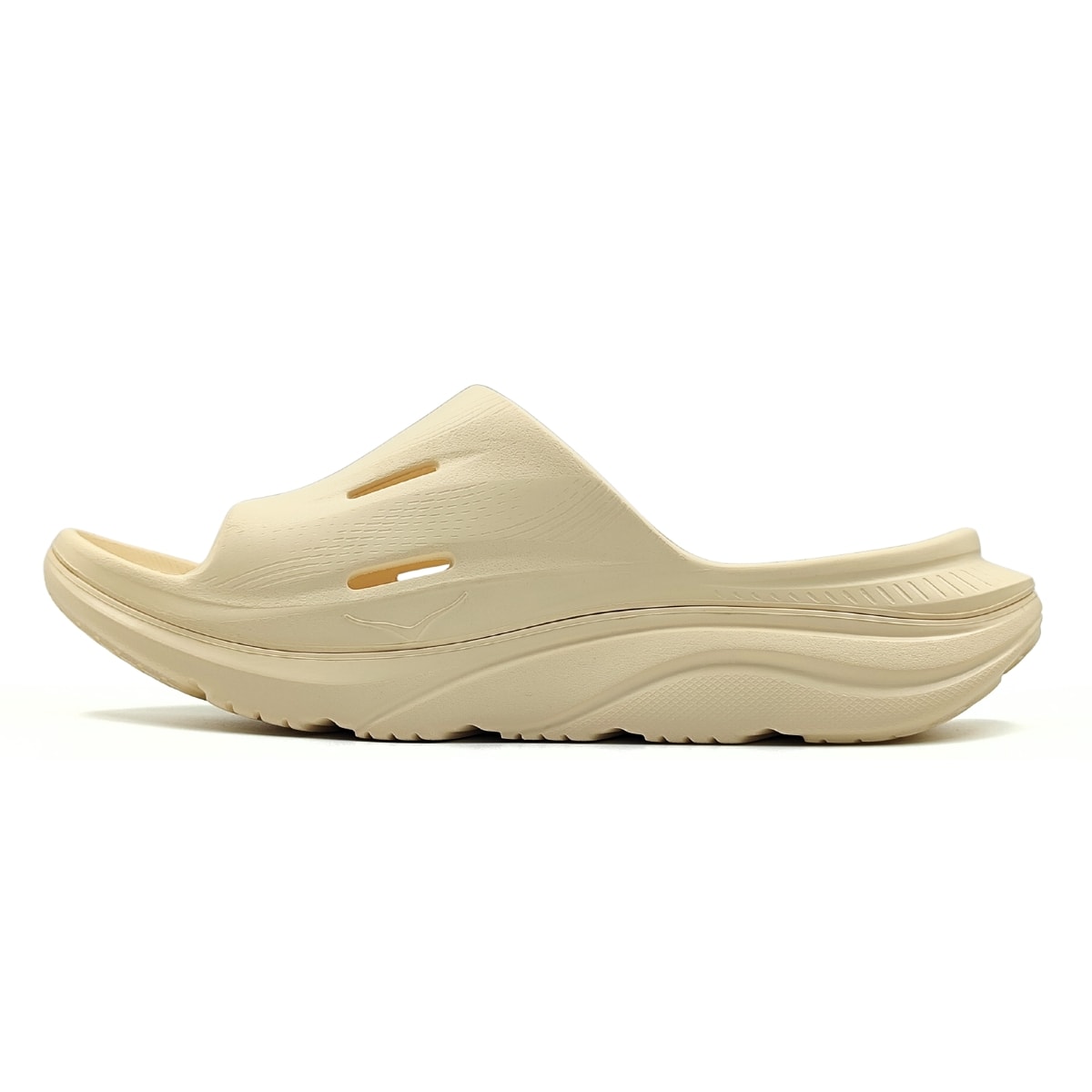 image_b481e189-ce4c-4ab1-9312-a742814f532a