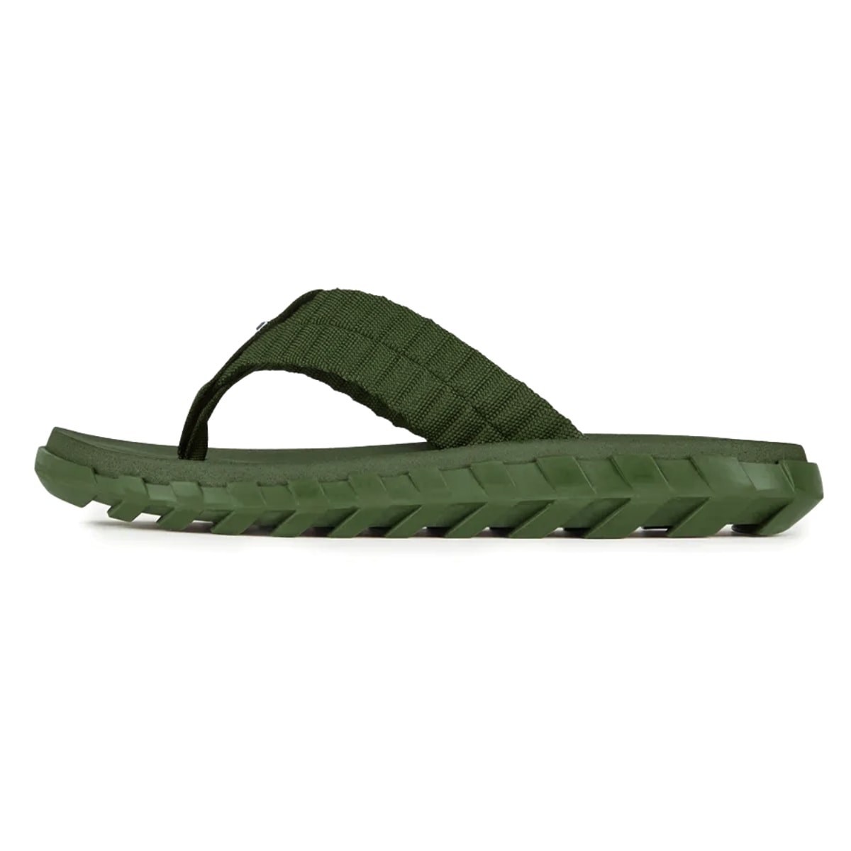 image_54106cff-9543-4aa5-a39d-53f4795aa5f8