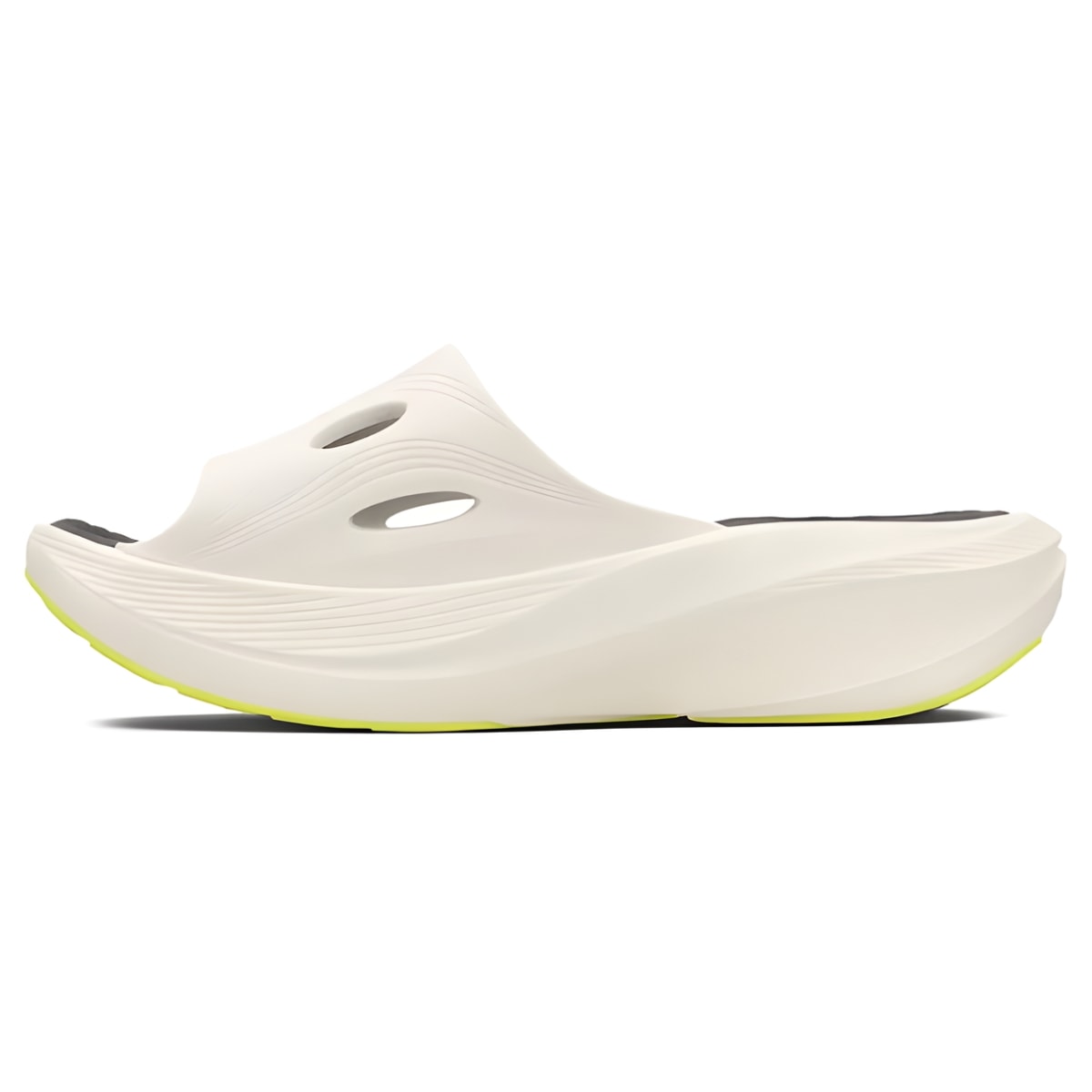 image_3618a0c1-0d25-4385-8b70-aa6790fb6d00