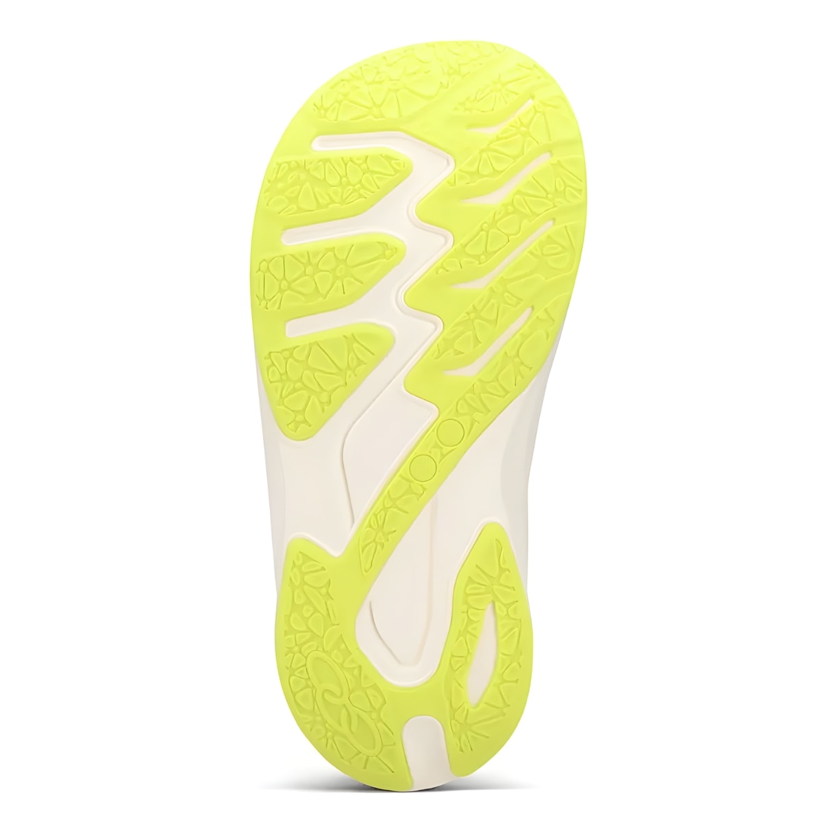 image_0d183773-f92a-4ea8-ad77-155d64c24a0d