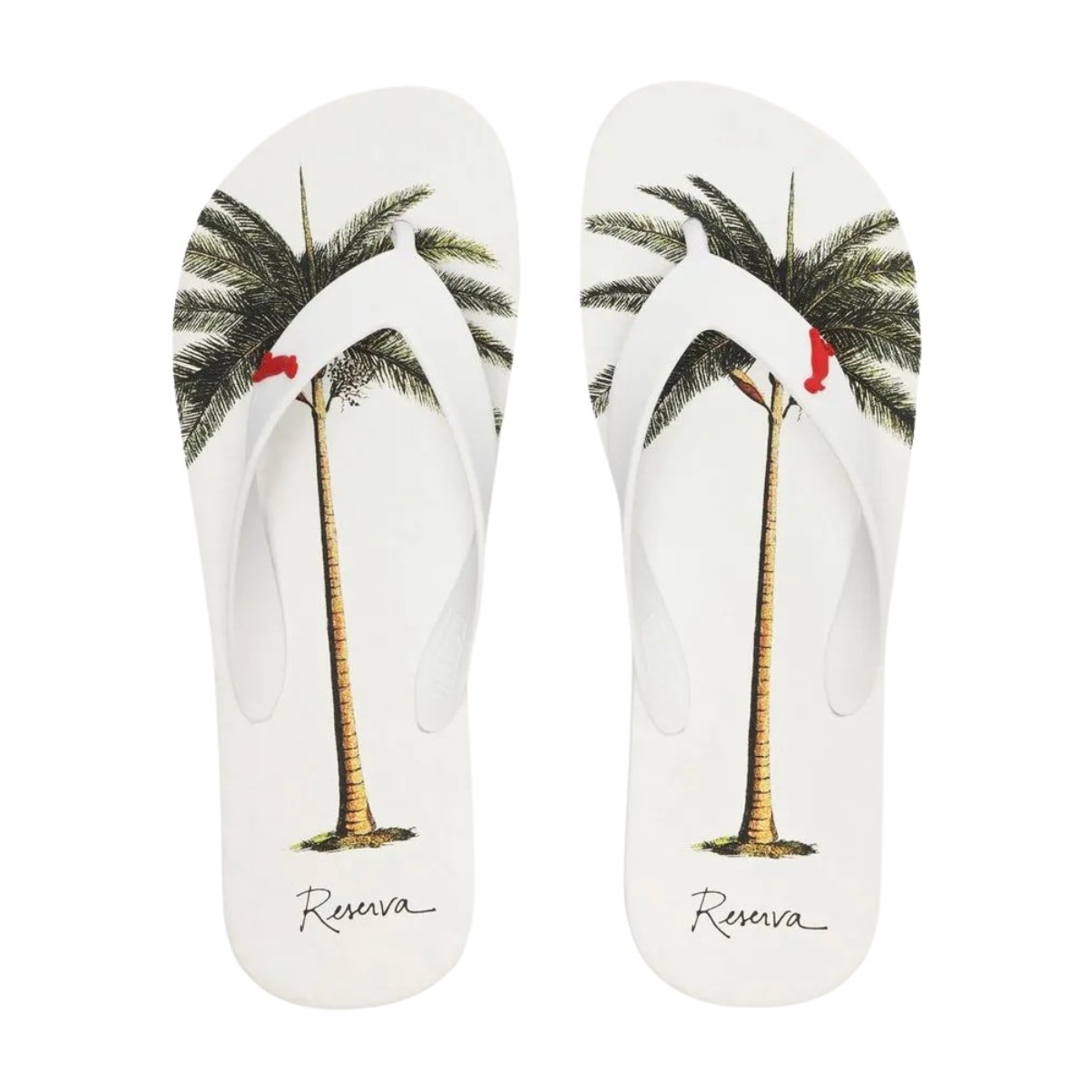 image_ec713c06-be9a-4db2-b33e-7013d4561686