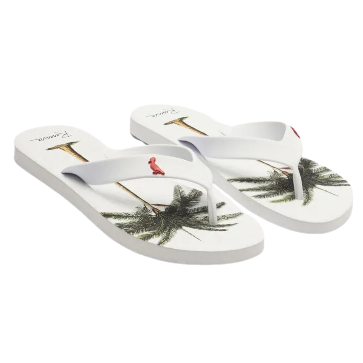 image_21103145-3788-429a-9629-542e6155d8ca