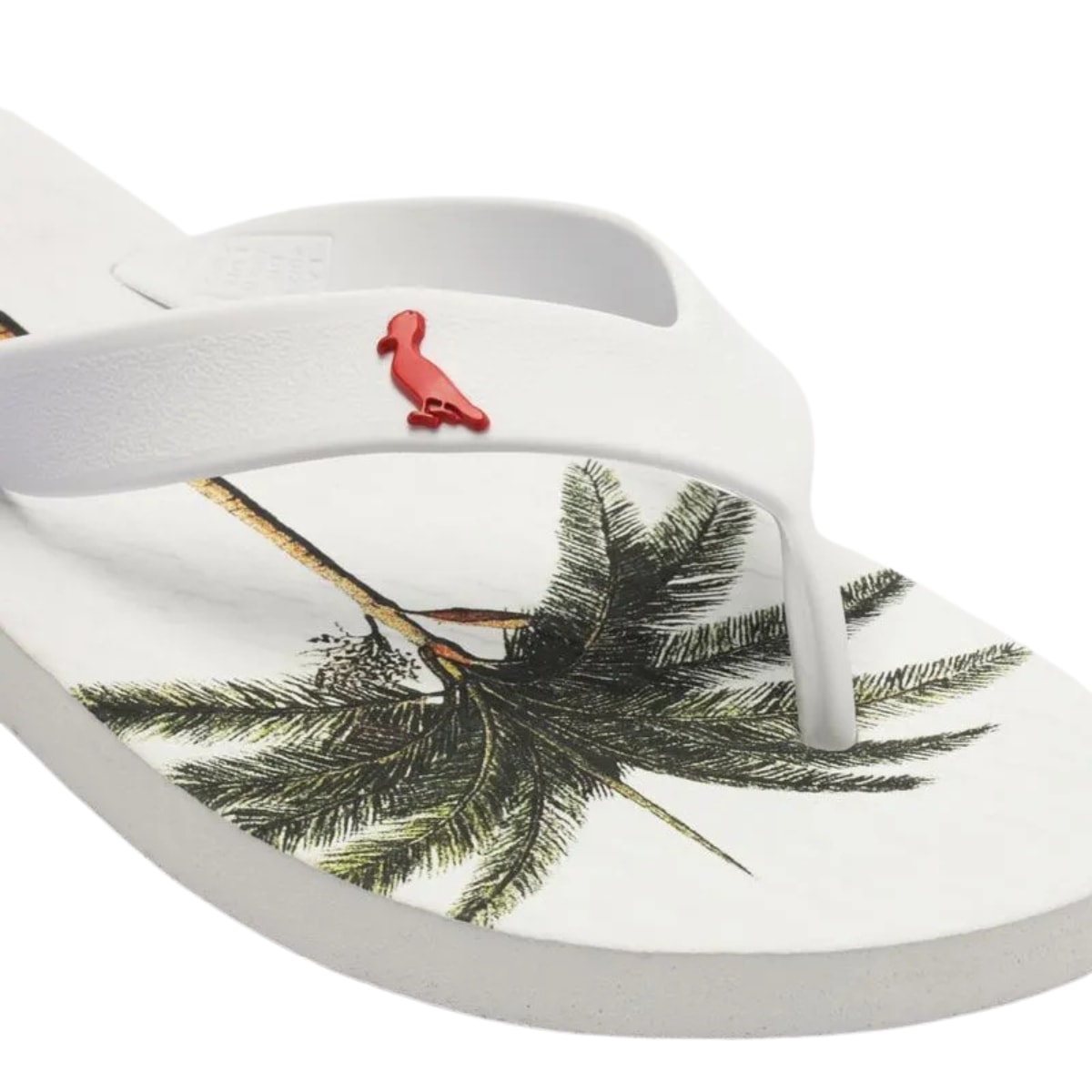 image_d5c39c78-99ff-4af6-8f01-fc2f98265e59