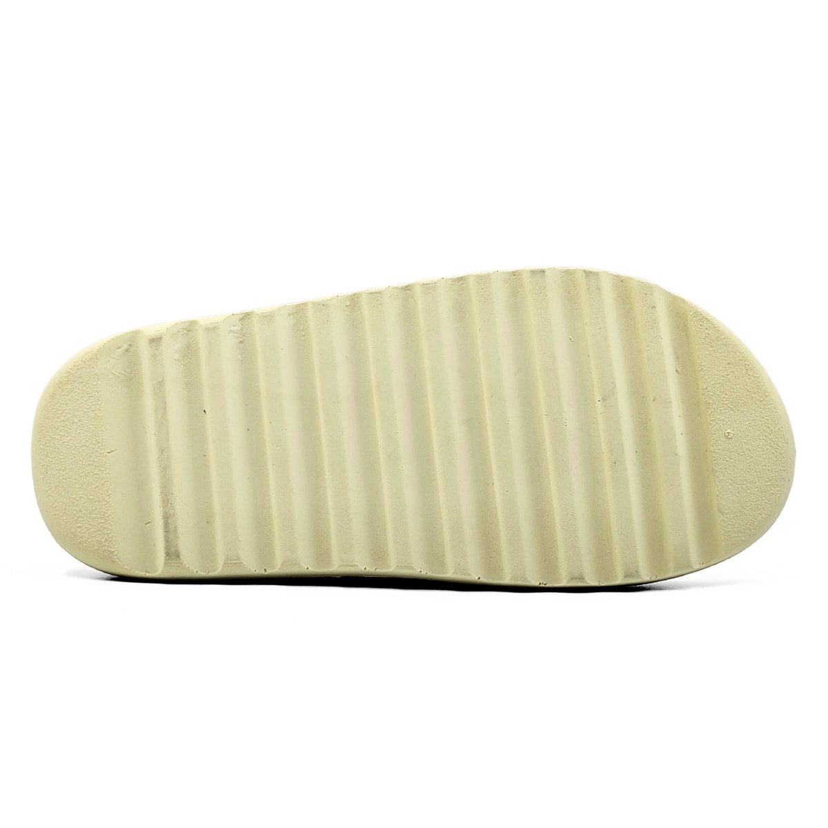 image_795116d8-6c7f-4372-9a0b-65d9612c2b80