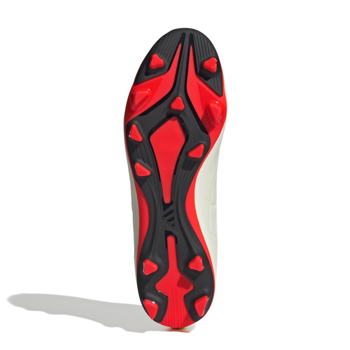 image_609d99cc-cb14-4773-930a-fd358b0cc567