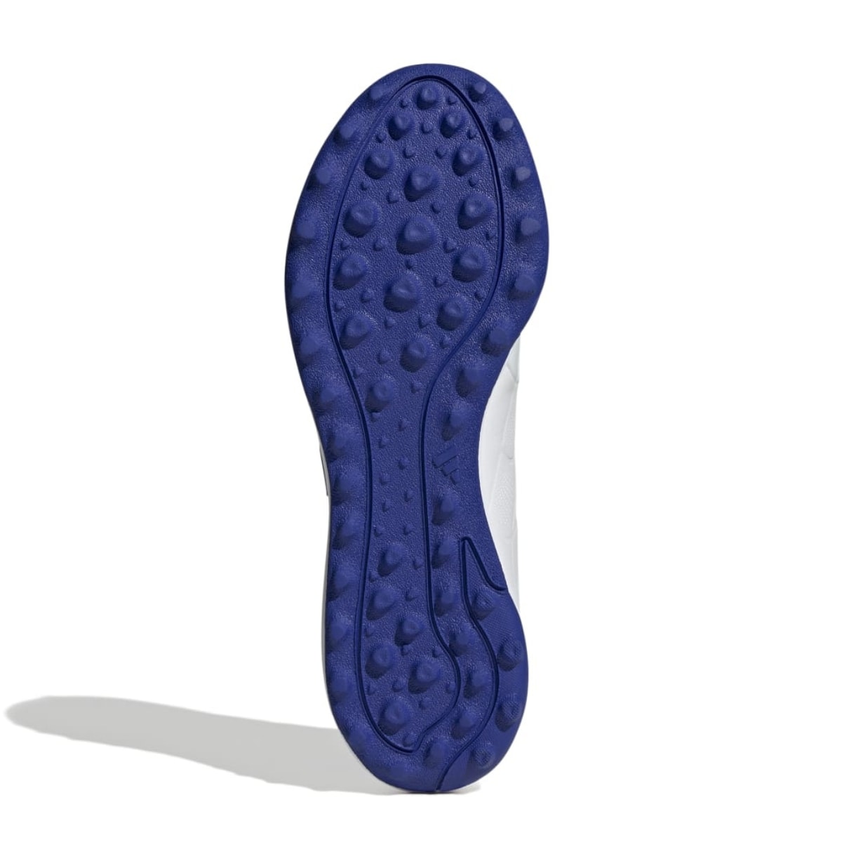 image_5912ddcd-90e4-406e-a7c9-2e7a49aed01c