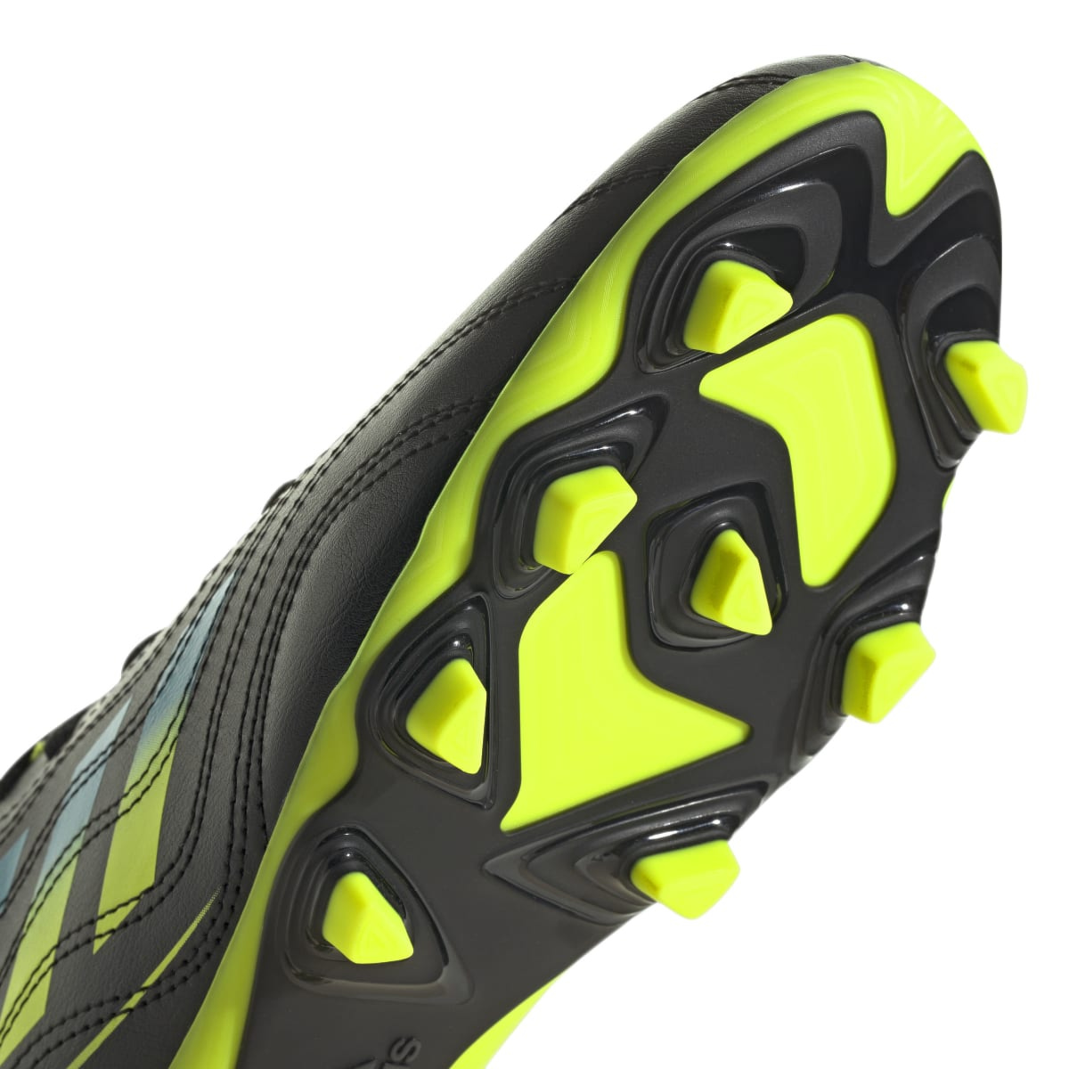 image_81122e71-eaea-4082-85a8-7bf42a8cc5b5