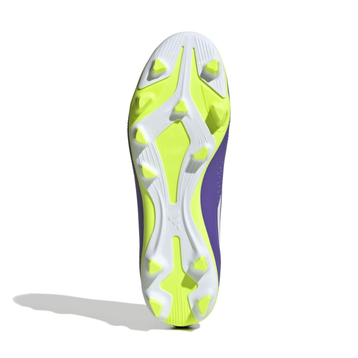 image_e9fee84f-e675-4013-bd94-7de45ad050d8