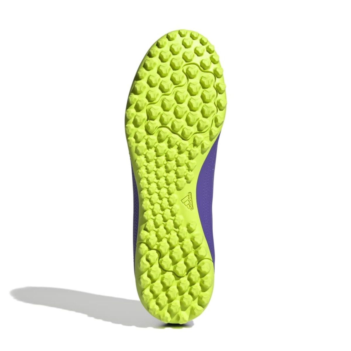 image_f36d14fb-68e2-412f-88cb-3c5a35f06d3a