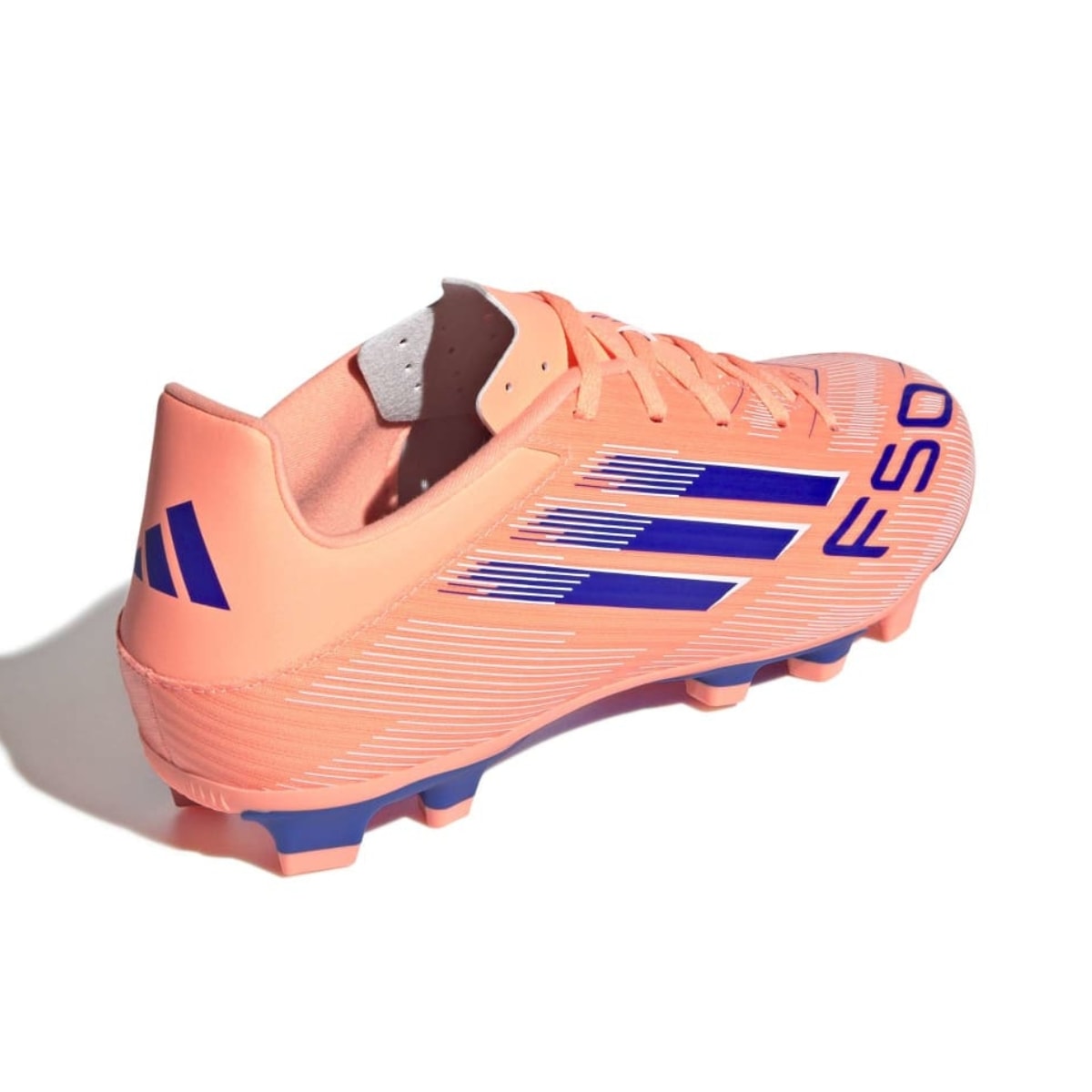 image_3c0de3eb-81fe-4527-8677-8098ee1f0f46