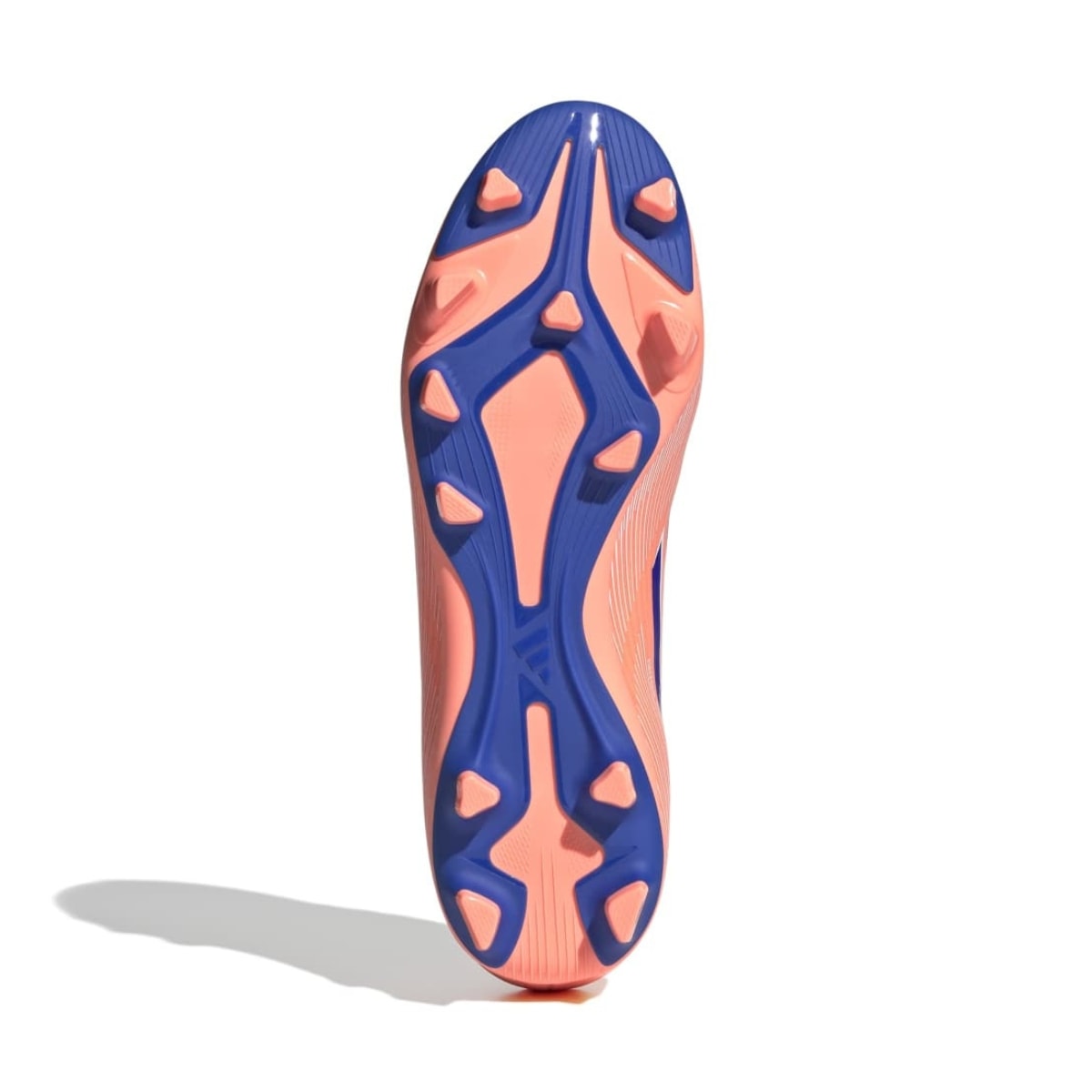 image_0112749d-d9e0-47c6-91a4-5cac6c5bd501