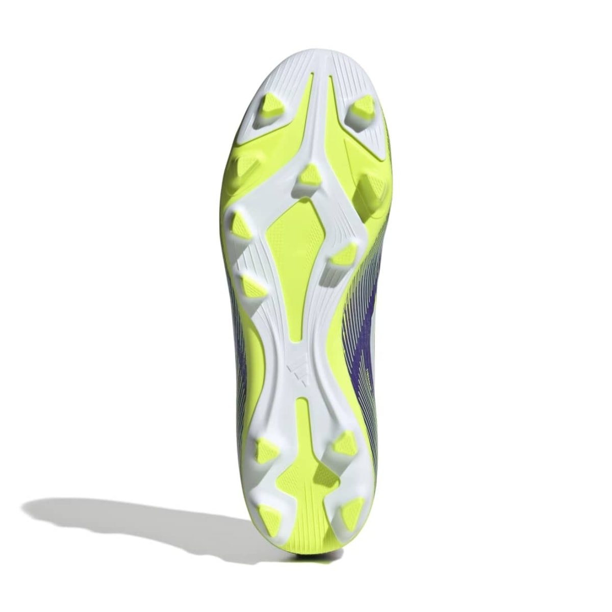 image_2be1262c-3542-4c53-8594-0f5af9a6f217