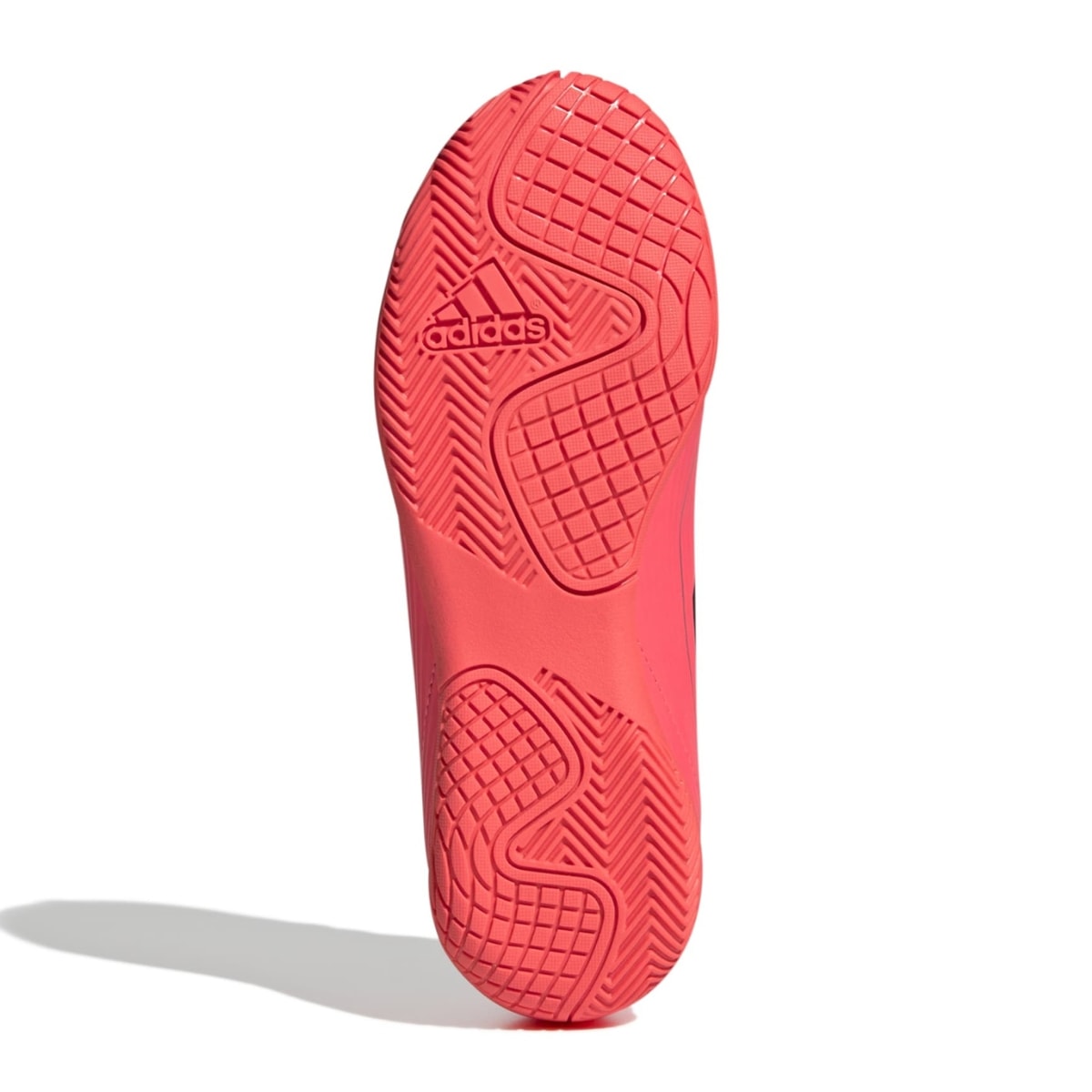 image_6def7a91-a40e-4b1d-a656-a836b881fbfb