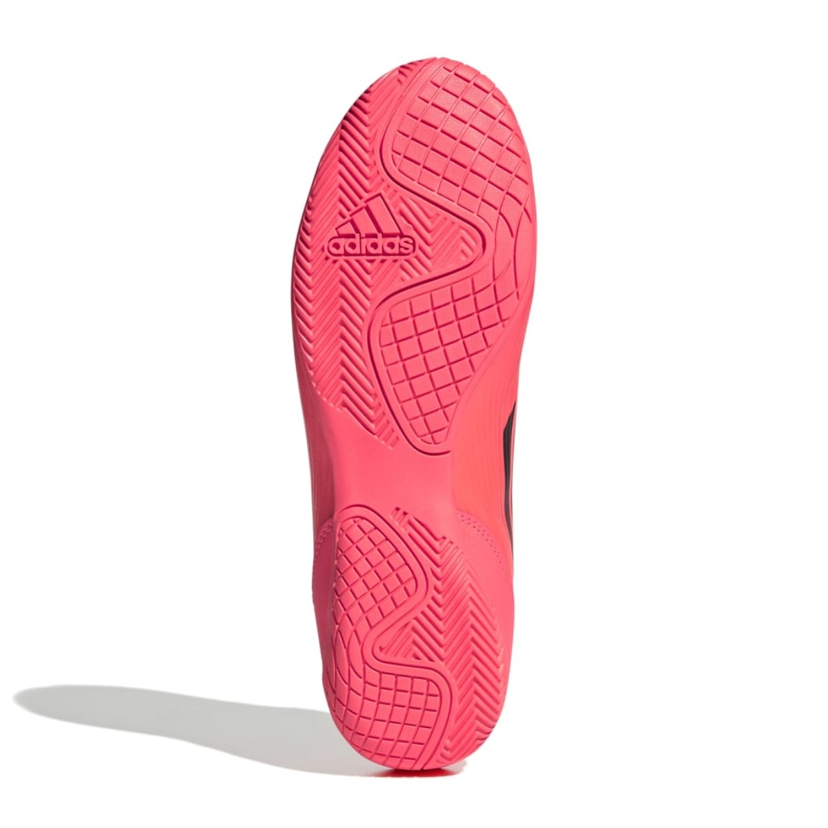 image_9f5324b8-47f4-4505-a3e0-50c431a09d15