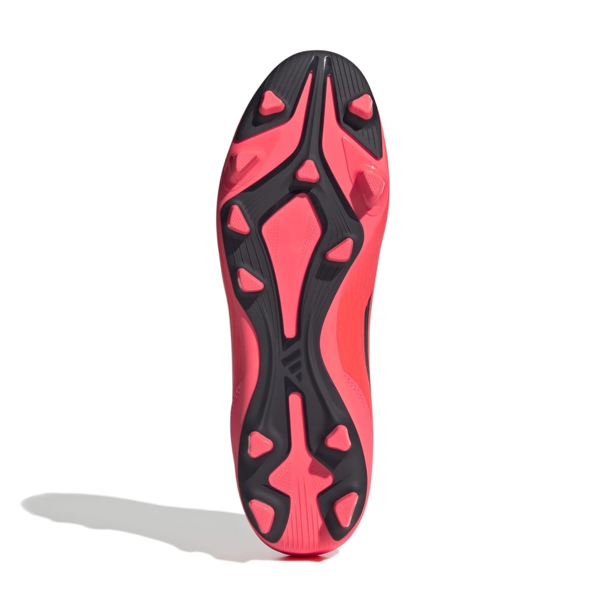 image_694c059b-2198-4e80-8483-fb8ce340e2f9