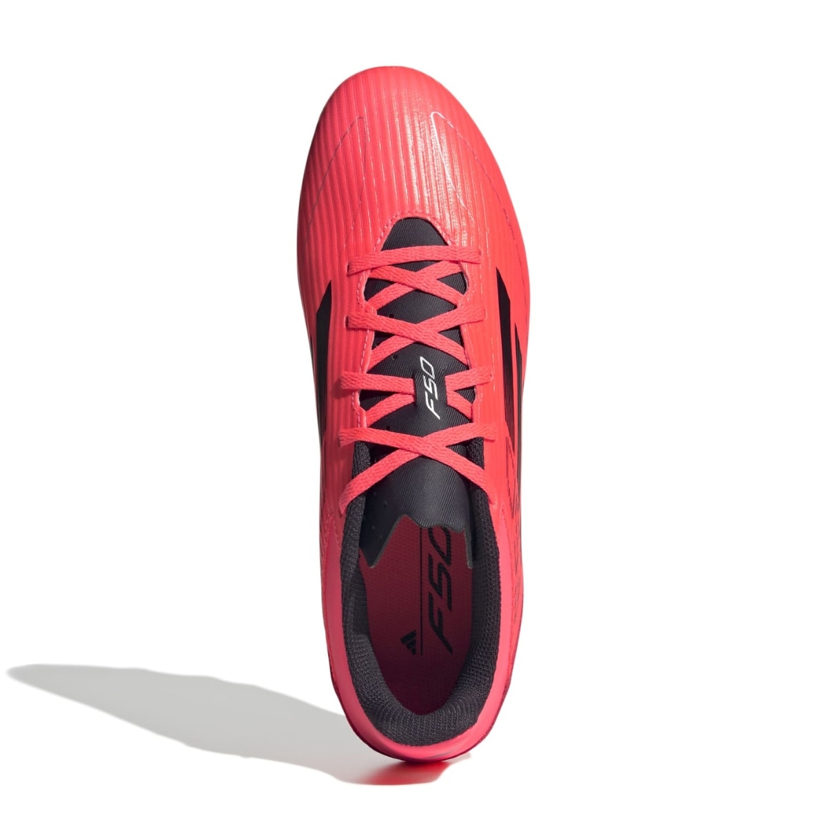 image_25a64b51-5816-4009-b8fd-d6dc10fe91e7