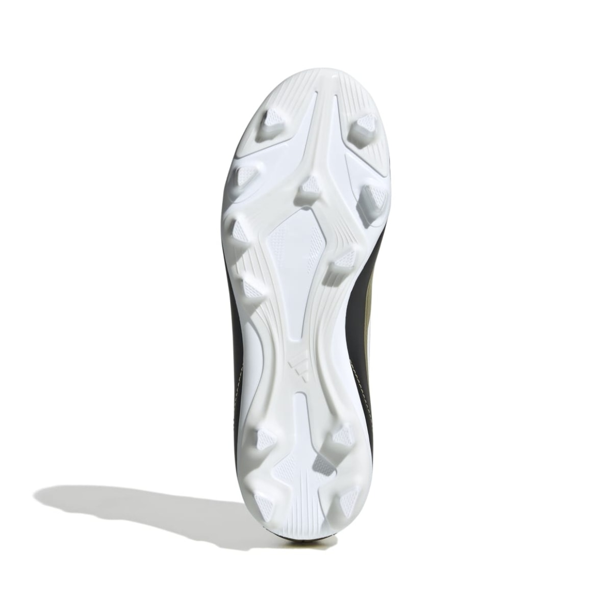 image_706cbcf4-a772-4dc2-9713-c83a25b40033