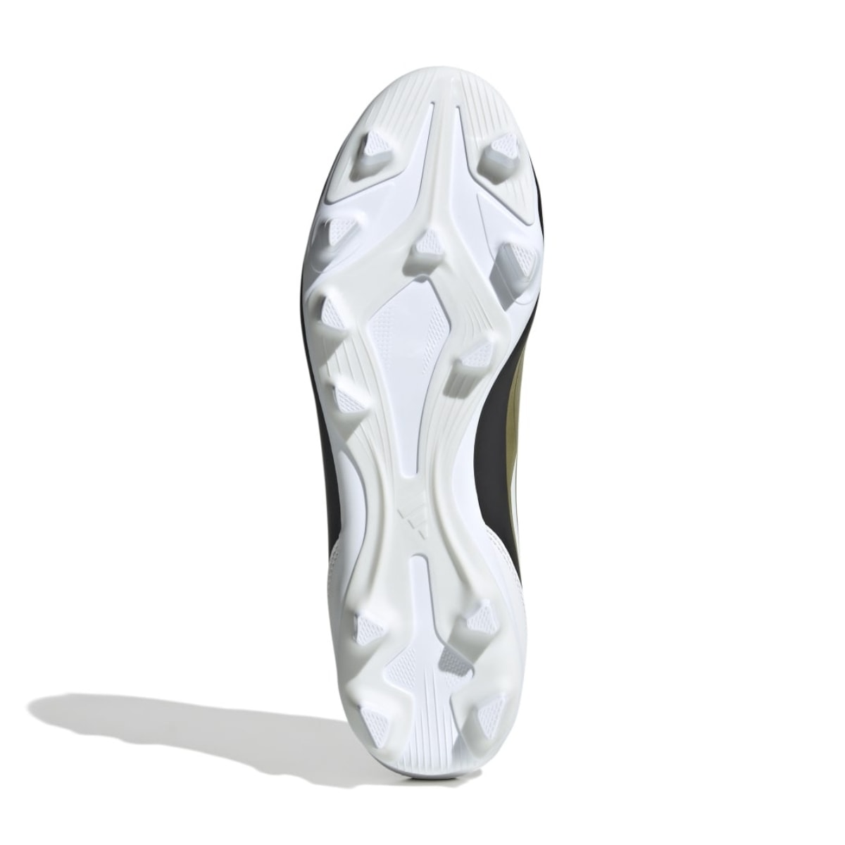 image_d0ff5824-883c-413d-a84d-8d852587f135