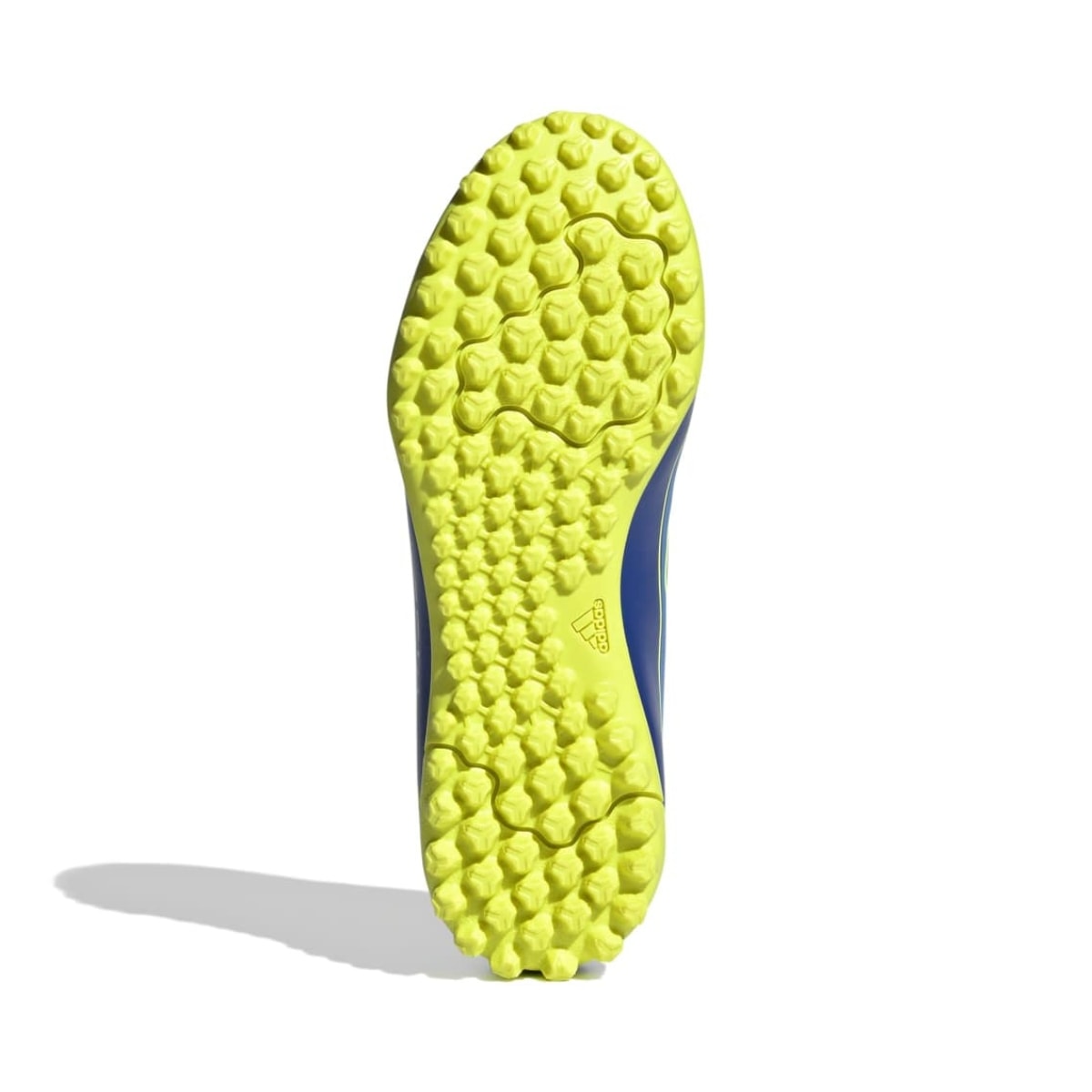 image_e0f19937-e9c5-4303-855a-575eb40ec54e