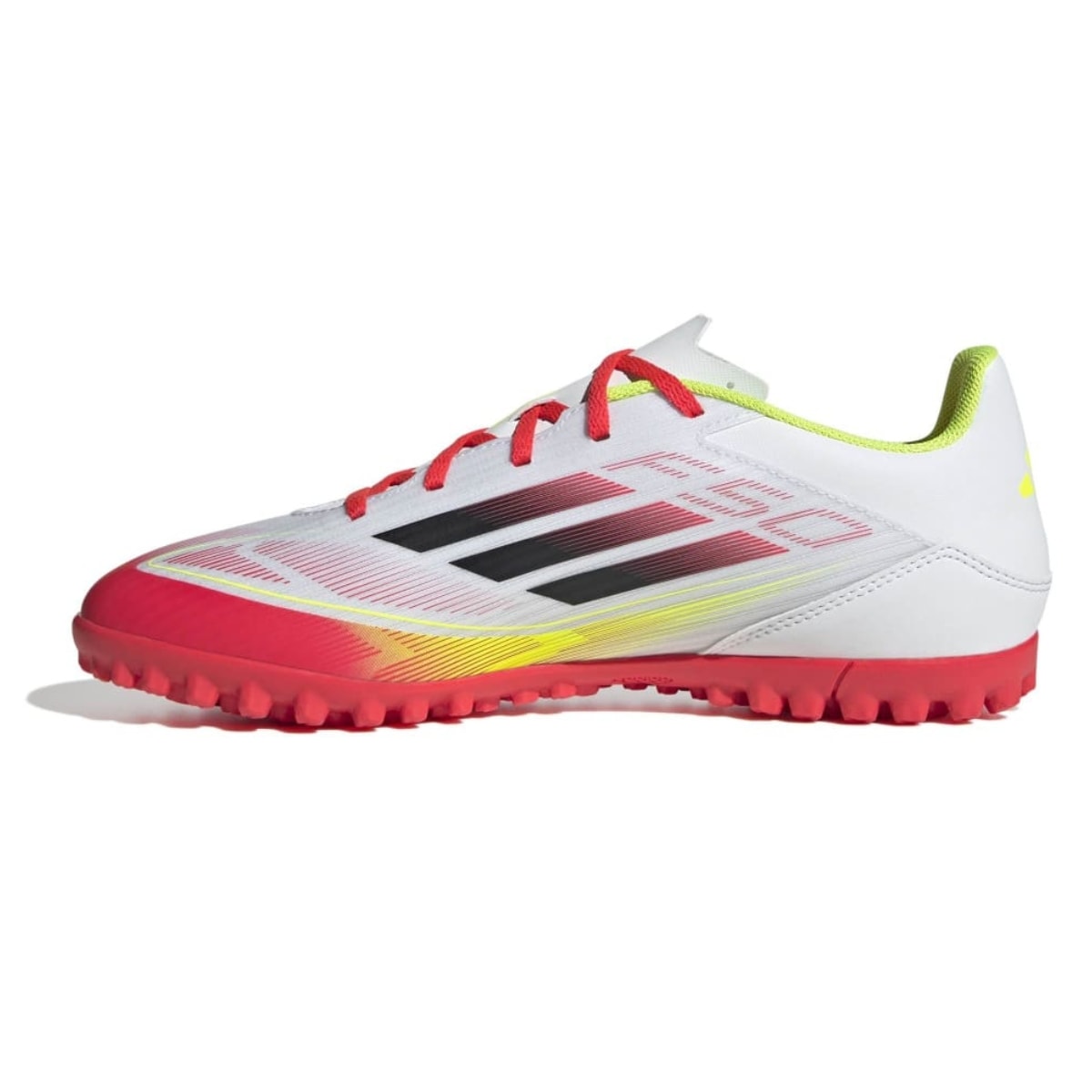 image_79b7c23a-8c09-45d6-a276-a81b06943502