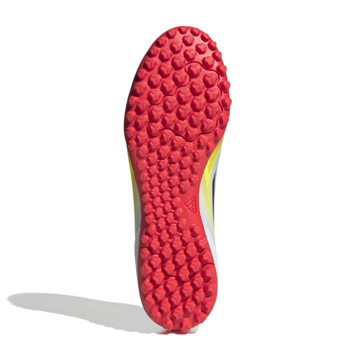 image_d4a1a242-fa53-4148-9ea2-0d848fc7a725